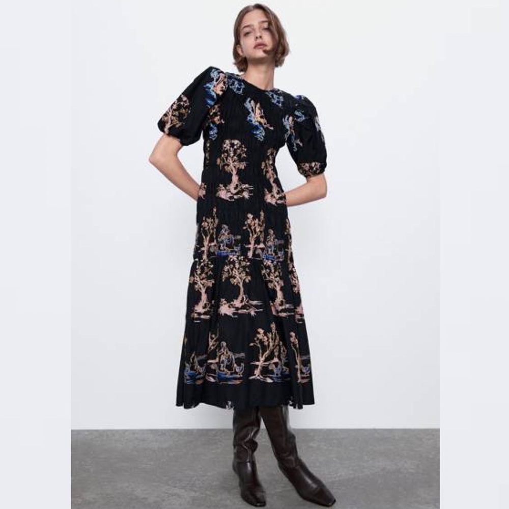 Zara Elastic Trim Embroidered Dress
